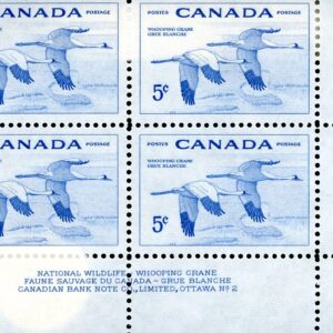 Canada PB#353 - Whooping Cranes (1955) 5¢