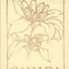 Canada Stamp Booklet - #BK77 (1977) 2 x 1¢ + 4 x 12¢