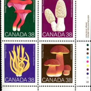 Canada Stamp PB#1248a - Mushrooms (1989)