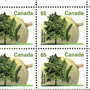 Canada Stamp PB#1367 - Black Walnut (1991) 65¢