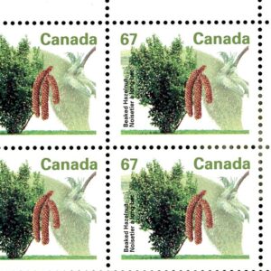 Canada Stamp PB#1368 - Beaked Hazelnut (1992) 67¢