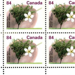 Canada PLATE BLOCK #1371 - Stanley Plum (1991) 84¢