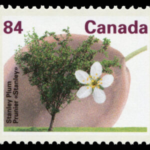 Canada stamp #1371 - Stanley Plum (1991) 84¢