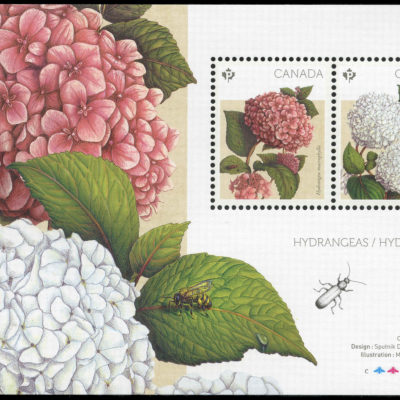 Canada Stamp #2896 - Hydrangeas (2016) $1.70 Souvenir Sheet of 2