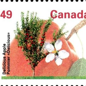 Canada Stamp #1364 - Delicious Apple (1992) 49¢