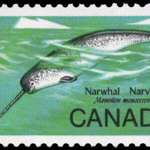 Canada Stamp #480ii - Narwhal (1968) 5¢
