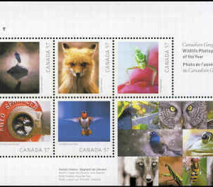 Canada Stamp #2388 - Wildlife Photography (2010) 5 x 57¢ Souvenir sheet of 5