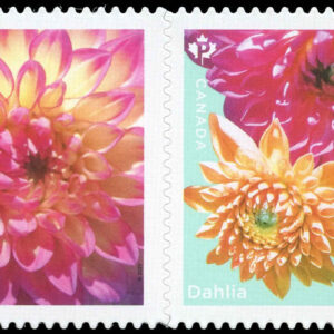 Canada Stamp #3238i - Dahlia (Yellow, pink flowers) (2020) 2 x P (92¢) Se-tenant pair, die cut to shape from Quarterly Pack