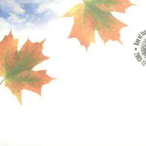 Canada FDC#2008 - Maple Leaf (2003) 49¢
