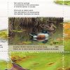 Canadian Wildlife Habitat Conservation Stamp #FWH19 - Northern Shovelers Ducks (2003) $8.50 - Image 2