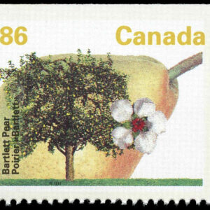 Canada Stamp #1372a - Bartlett Pear (1992) 86¢