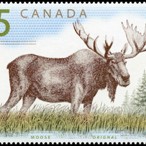 Canada Stamp #1693 - Moose (2003) $5