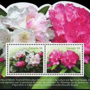 Canada Stamp #2318 - Rhododendrons (2009) 2 x 54¢ Souvenir sheet of 2