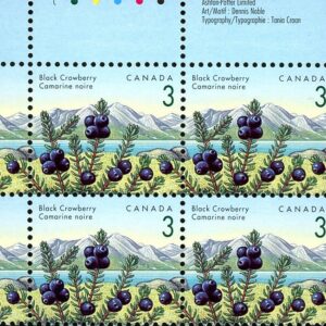 Canada Stamp PB#1351iii - Black Crowberry (1992) 3¢
