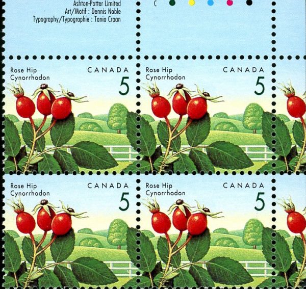 Canada Stamp PB#1352iii - Rose Hip (1992) 5¢