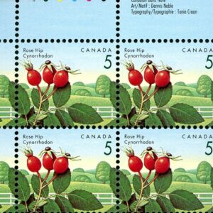 Canada Stamp PB#1352i - Rose Hip (1992) 5¢