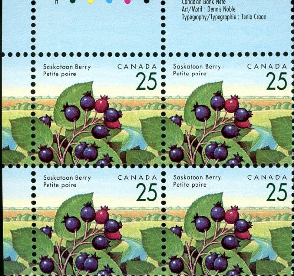Canada Stamp PB#1355II - Saskatoon Berry (1992) 25¢