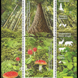 Canada Stamp #2461 - International Year of Forests (2011) 2 x (P) Souvenir sheet of 2