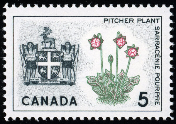 Canada Stamp #427i - Newfoundland, Pitcher Plant (1966) 5¢ "Broken stamen", 4 types (pos. 13, 37, 39, 41)