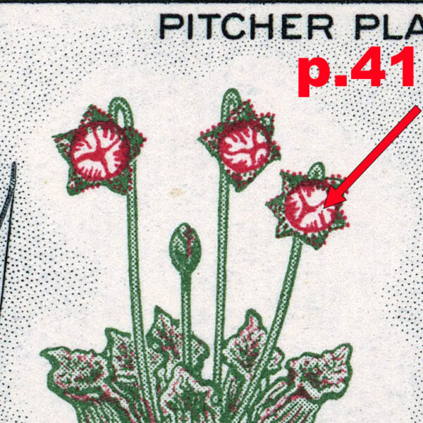 Canada Stamp #427i - Newfoundland, Pitcher Plant (1966) 5¢ "Broken stamen", 4 types (pos. 13, 37, 39, 41) - Image 2