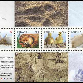 Canada Stamp #2424 - Baby Wildlife Definitives-Souvenir sheet (2011) (P) + $1.03 + $1.25 + $1.75 Souvenir sheet of 4