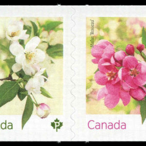 Canada Stamp #3283iii - Crabapple Blossoms (2021) 2 x P (92¢) Pair of 2 stamps, die cut to shape