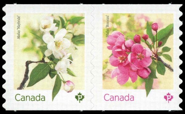 Canada Stamp #3283iii - Crabapple Blossoms (2021) 2 x P (92¢) Pair of 2 stamps, die cut to shape