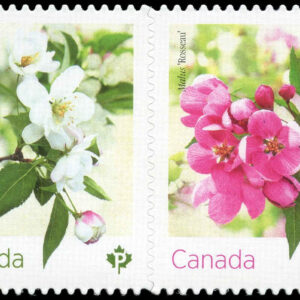 Canada Stamp #3285i - Crabapple Blossoms (2021) 2 x P (92¢) Pair of 2 stamps, die cut to shape