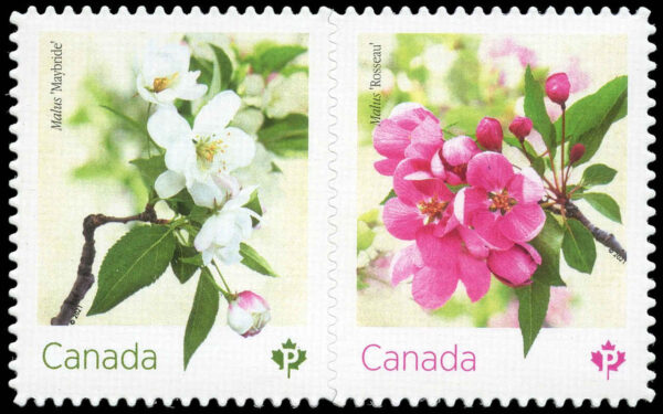 Canada Stamp #3285i - Crabapple Blossoms (2021) 2 x P (92¢) Pair of 2 stamps, die cut to shape