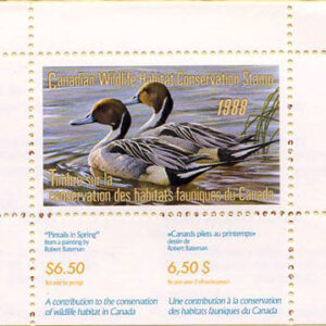 Canadian Wildlife Habitat Conservation Stamp #FWH4 - Pintails (1988) $6.50