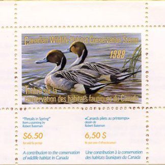 Canadian Wildlife Habitat Conservation Stamp #FWH4 - Pintails (1988) $6.50