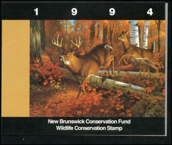 New Brunswick Conservation Fund Stamp #NBW1 - White Tail Deer by Hayden Lambson (1994)