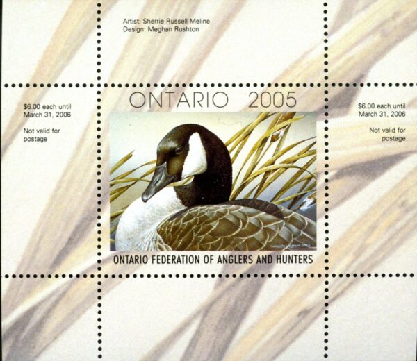 OW13* -- Ontario Wildlife Conservation 2005 Canada Goose by Sherrie Russell Meline. mini sheet with matching folder