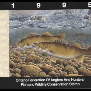Ontario Federation of Anglers & Hunters Stamp #OW3 - Walleye by Curtis Atwater (1995)