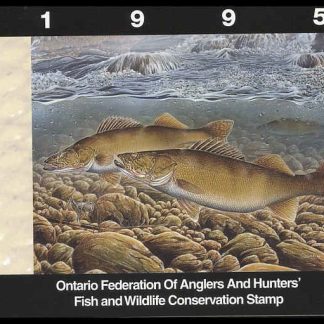 Ontario Federation of Anglers & Hunters Stamp #OW3 - Walleye by Curtis Atwater (1995)