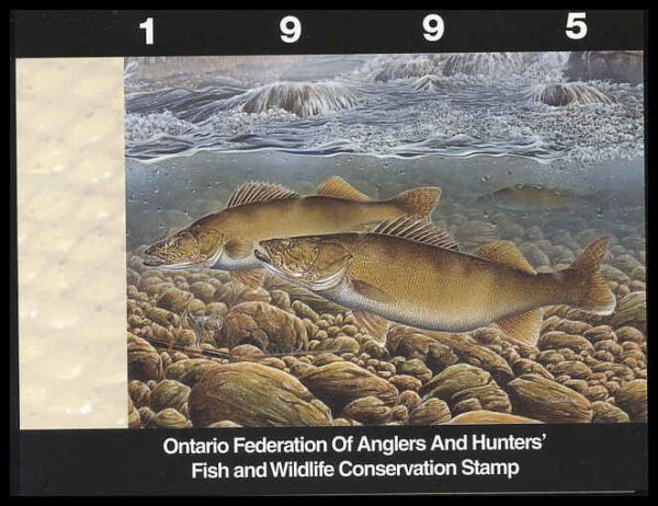 Ontario Federation of Anglers & Hunters Stamp #OW3 - Walleye by Curtis Atwater (1995)