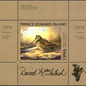 PEW2a* - Prince Edward Island Wildlife Conservation 1996 Woodcock by David MacIntosh. Single mini sheet - artist signed