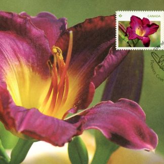 Canada Stamp FDC#2529-2530 - Daylilies (2012) 2 x P (61¢) Set of 2 stamps
