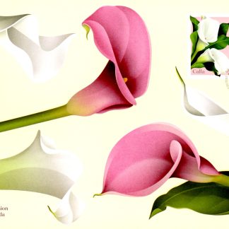 Canada Stamp #3322-3-OFDC - Calla (2022) 2 x P (92¢) Official first day cover