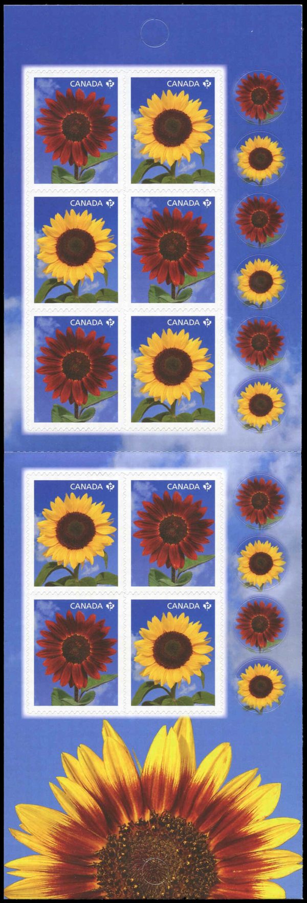 Canada Stamp #2444a - Sunflowers (2011) 10 x P (59¢) Booklet pane of 10 stamps (5 x (#2443, 2444)) (BK449)