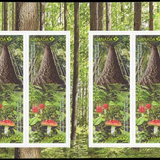 Canada Stamp #2463a - International Year of Forests (2011) 8 x P (59¢) Booklet pane of 8 stamps (4 x #2462-3) (BK452)
