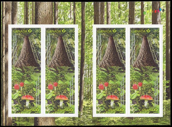 Canada Stamp #2463a - International Year of Forests (2011) 8 x P (59¢) Booklet pane of 8 stamps (4 x #2462-3) (BK452)
