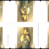Canada Stamp Booklet - #BK517 Head of Snake (2013) 6 x $1.85 Booklet of 6 stamps (#2601a in cover) - Image 2