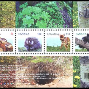 Canada Stamp #2602 - Baby Wildlife Definitives (2013) $4.92 Souvenir sheet of 4 stamps