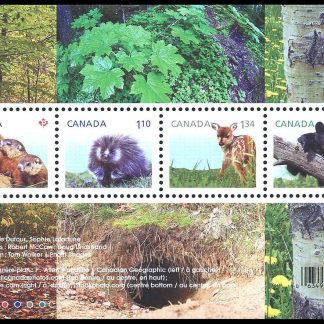 Canada Stamp #2602 - Baby Wildlife Definitives (2013) $4.92 Souvenir sheet of 4 stamps