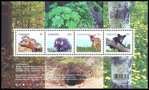 Canada Stamp #2602 - Baby Wildlife Definitives (2013) $4.92 Souvenir sheet of 4 stamps