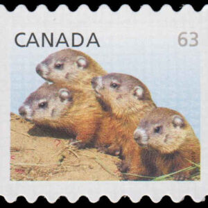 Canada Stamp #2692ii - Woodchucks (2013) 63¢ Die cut to shape from Quarterly Pack