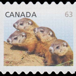 Canada Stamp #2692ii - Woodchucks (2013) 63¢ Die cut to shape from Quarterly Pack