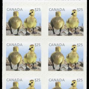 Canada Stamp #2431a - Canada Geese (2011) 6 x $1.25 Booklet pane of 6 stamps (#2431) (BK442)