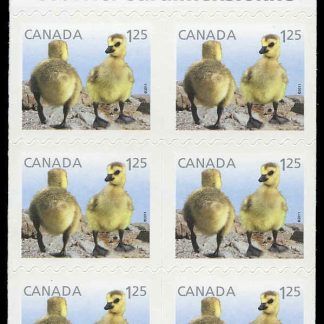 Canada Stamp #2431a - Canada Geese (2011) 6 x $1.25 Booklet pane of 6 stamps (#2431) (BK442)